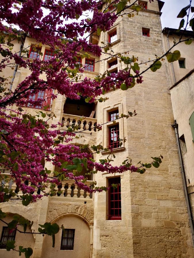 Appartement A 50 M De La Place Aux Herbes Юзес Екстер'єр фото